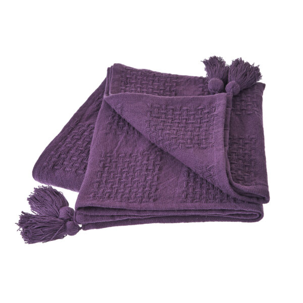 Coatesville - Purple